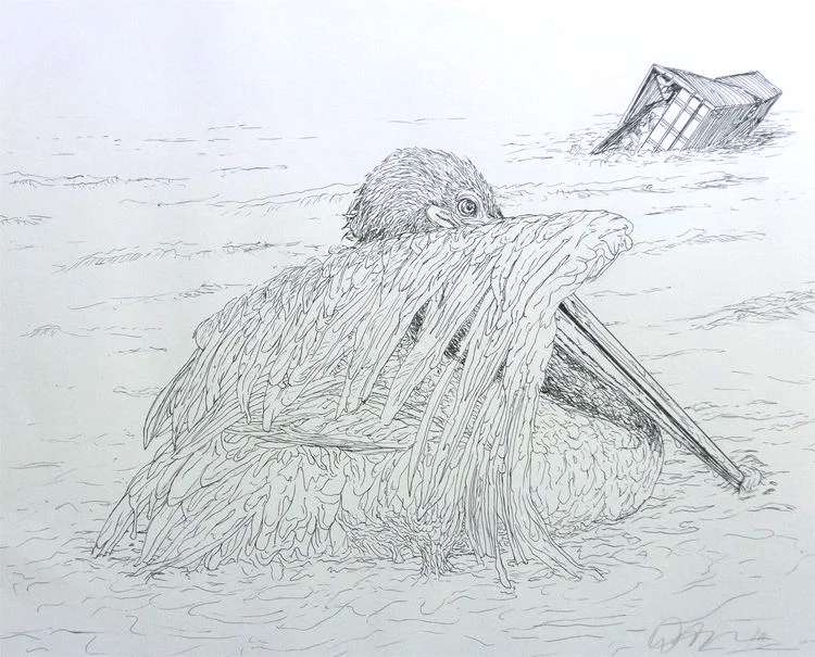  Ink on paper | 18x22" 