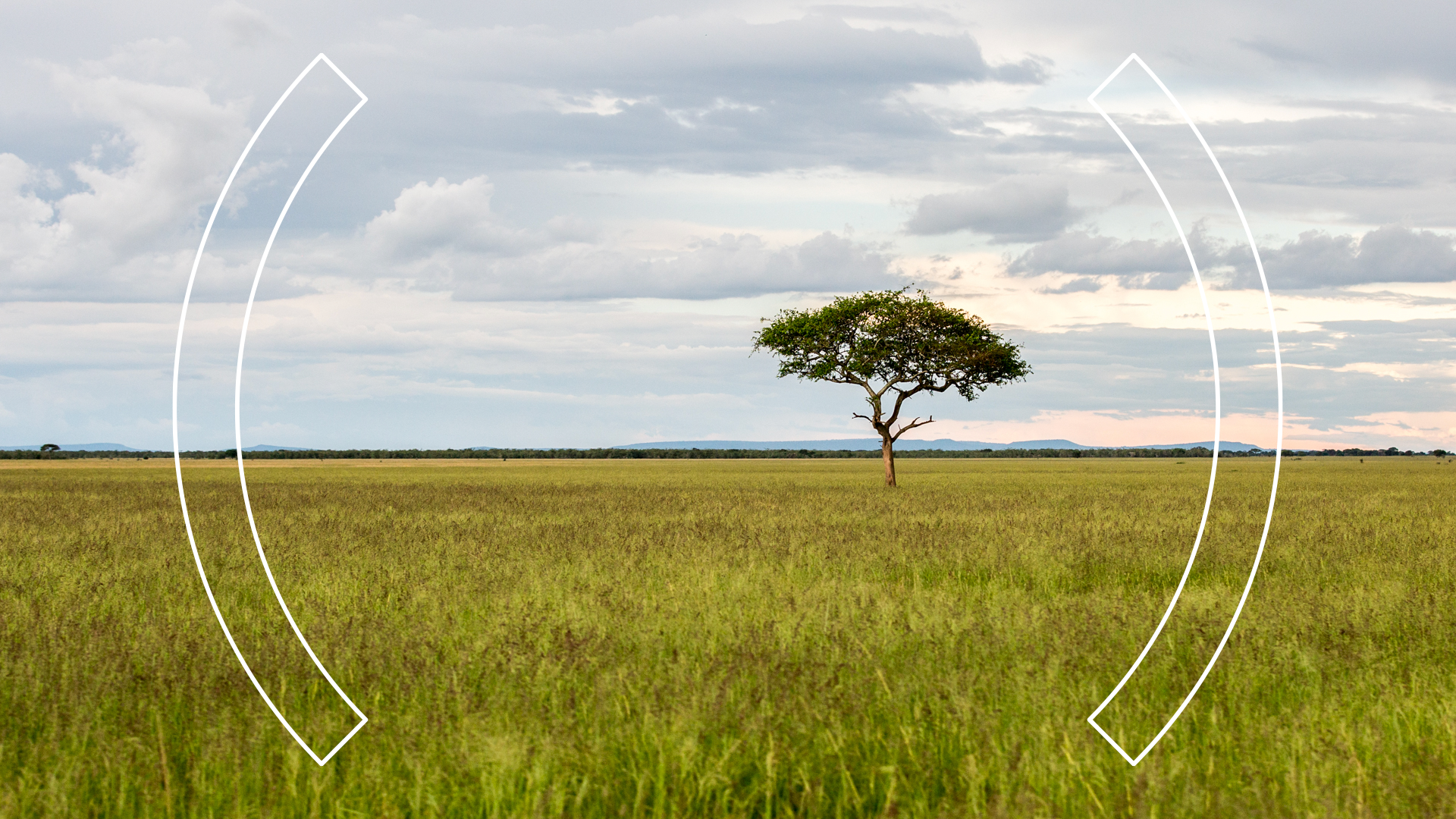 African Zoom Backgrounds