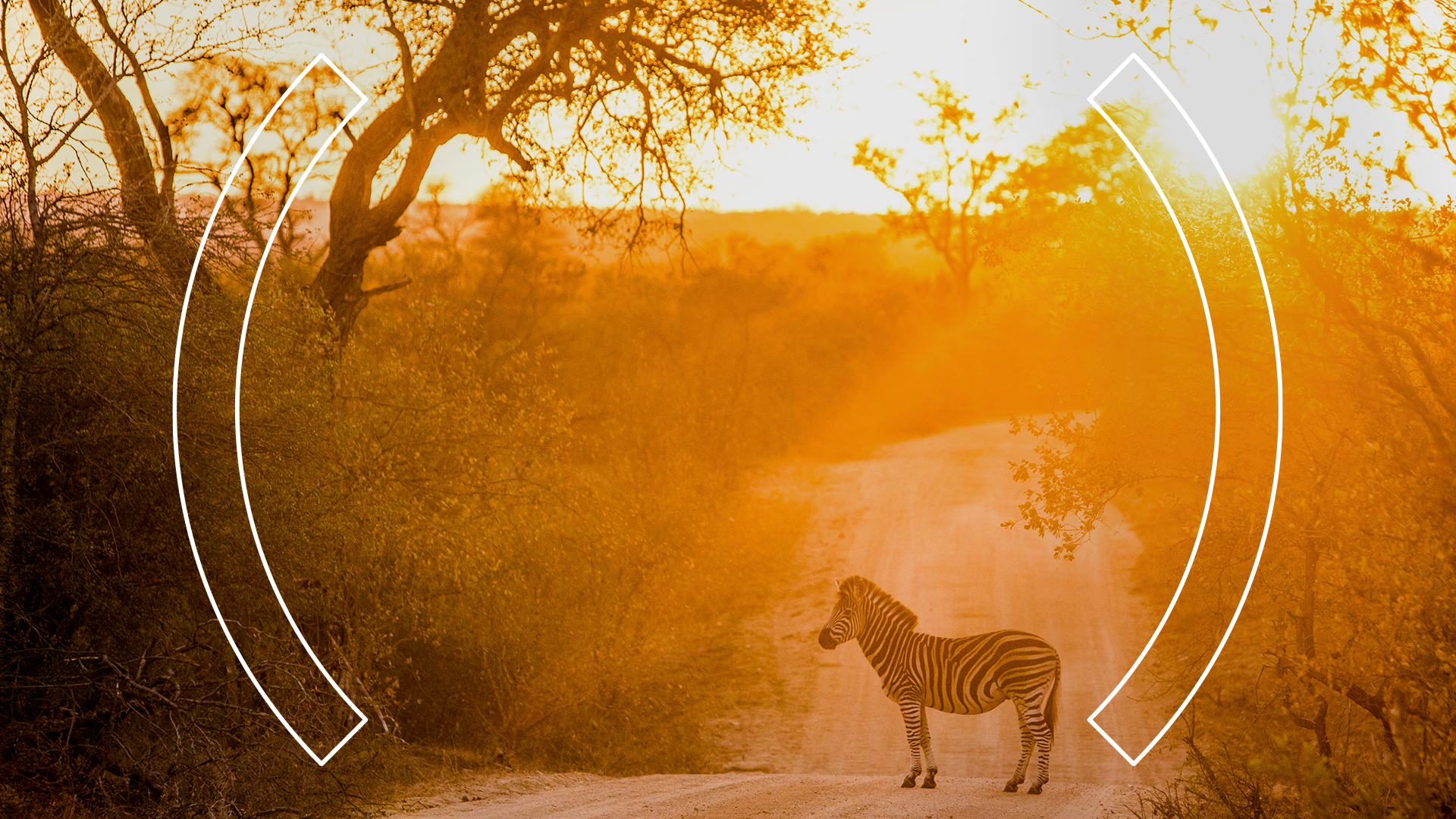 African Zoom Backgrounds