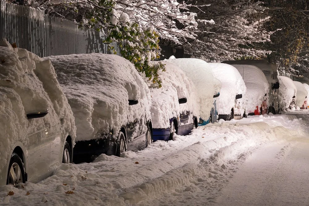 Snow Day, Part II