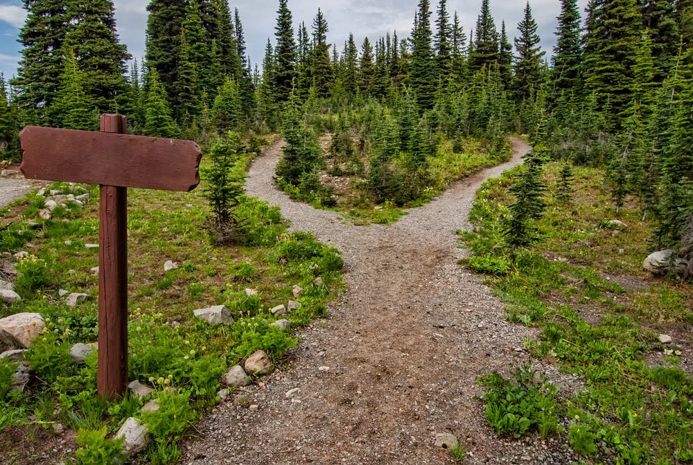 The Way Out
