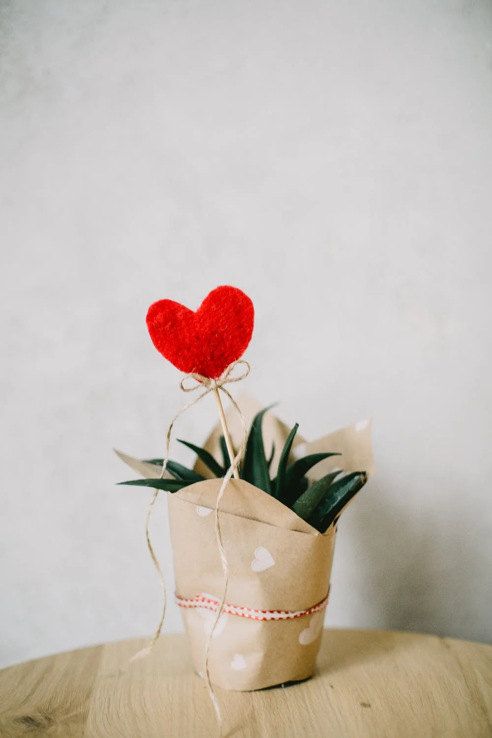 Something to Love