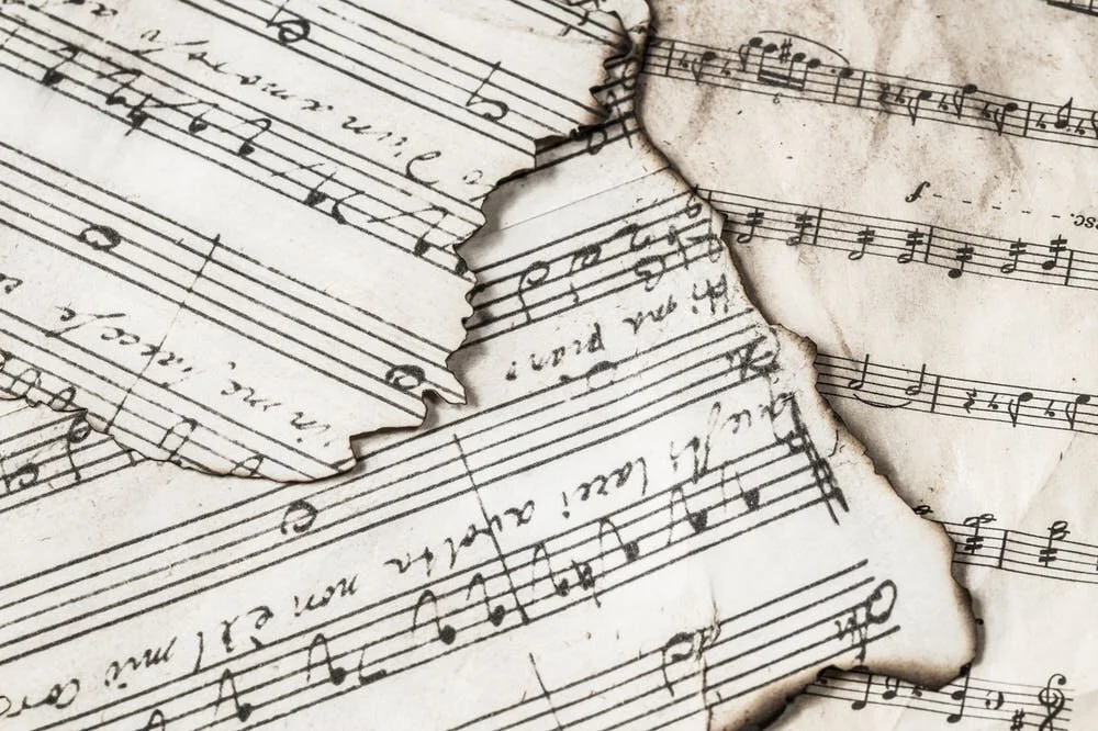 All You Need to Know