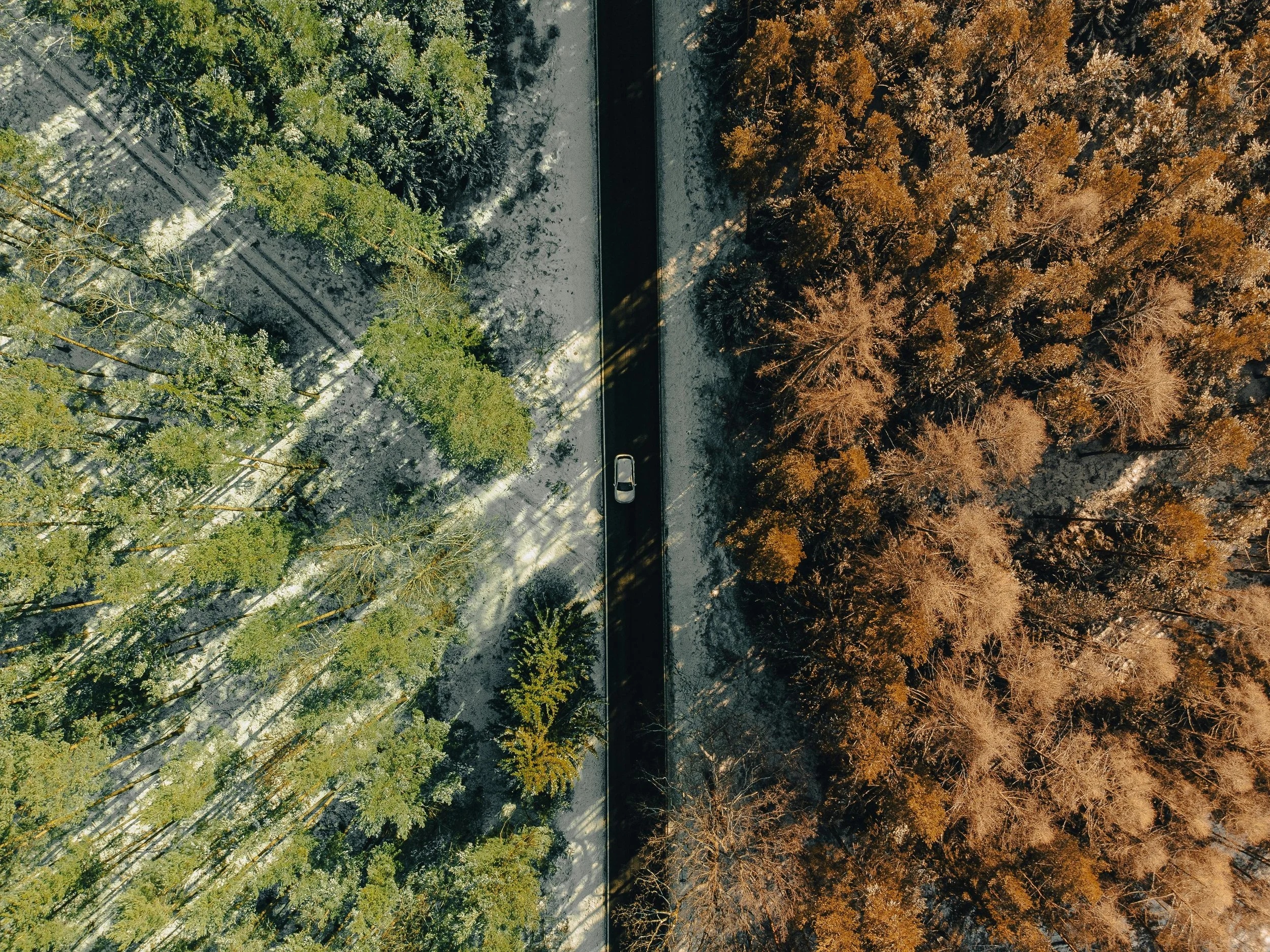 Season Syncing for Creativity