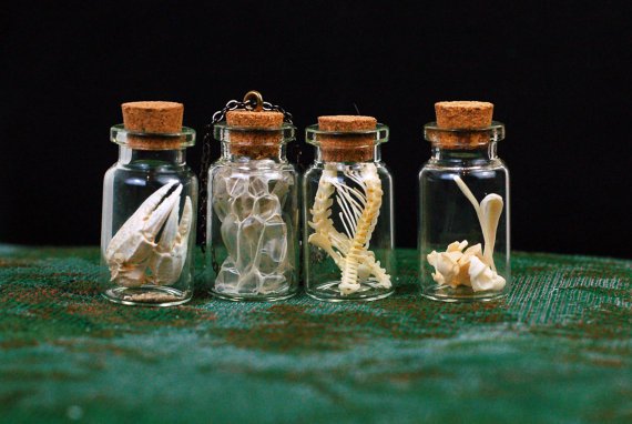 Bone Vial Keepsakes.jpg