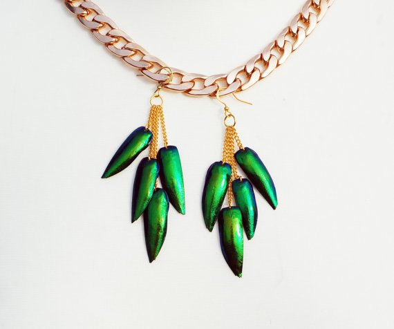 jewel beetle wing earrings.jpg