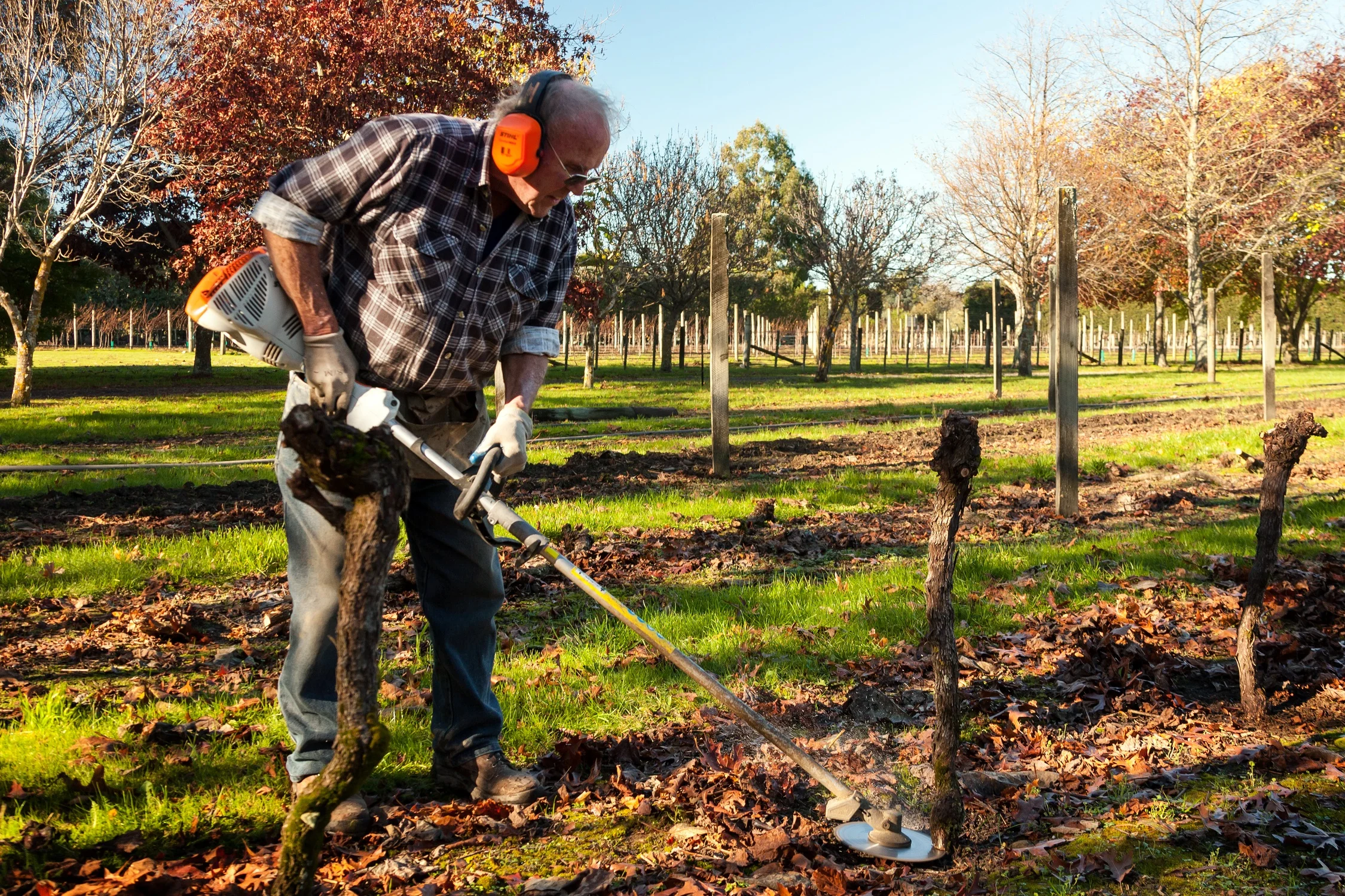 age concern_142 acnz.jpg