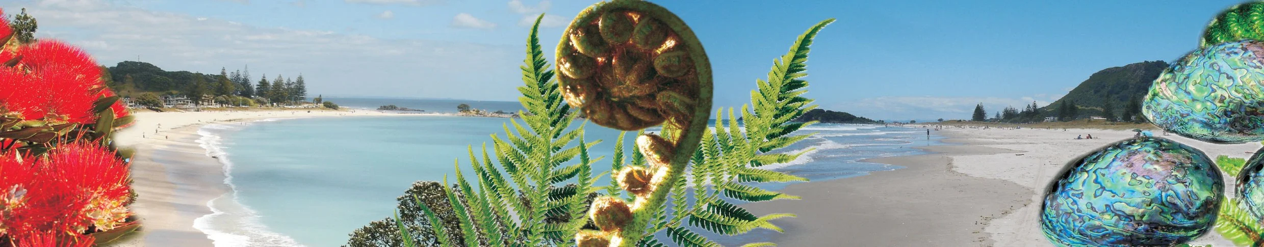 koru banner.jpg
