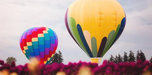 Postponed until May 24, 2021- Planning for the future - The Hard Stuff  