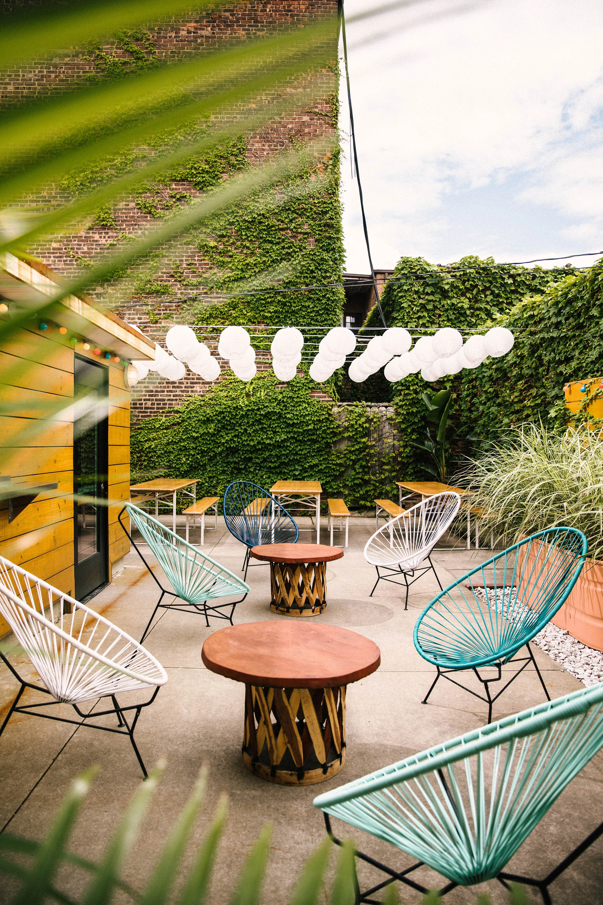 180730Harlows-107-Edit.jpg