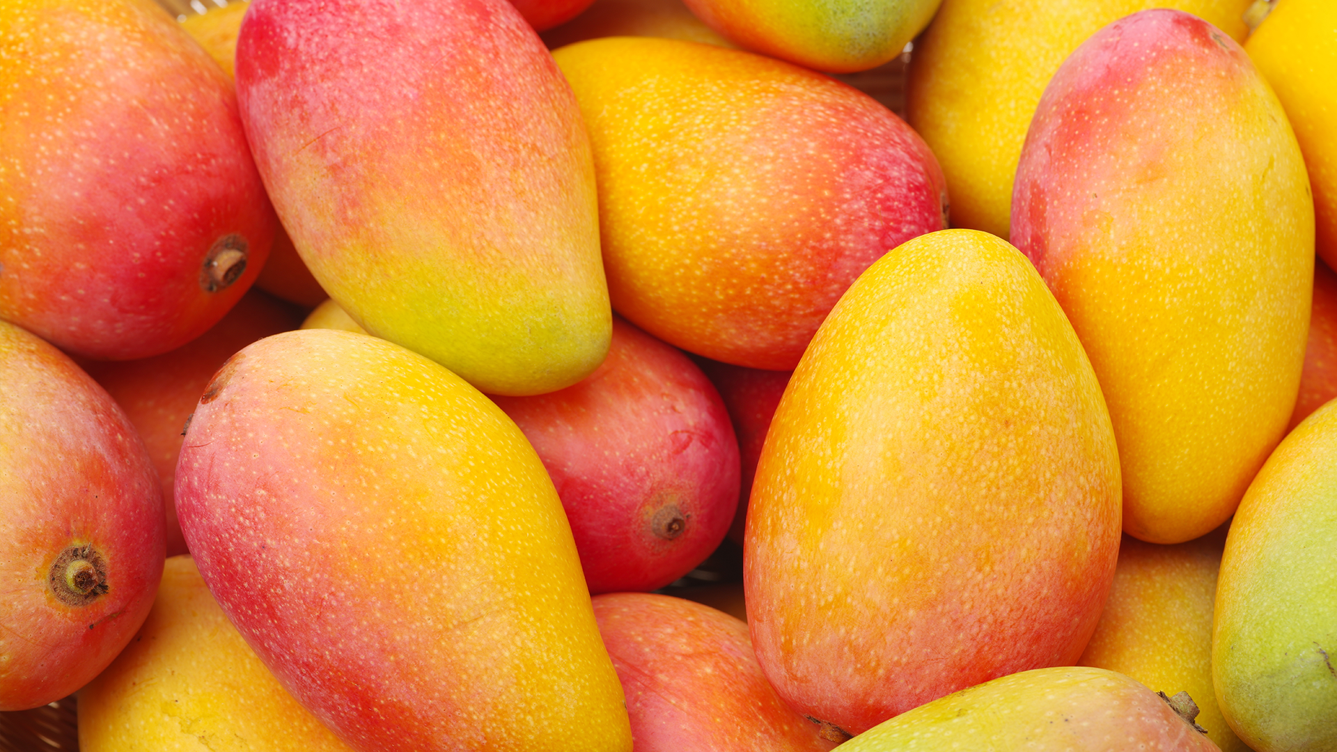 You Could Be Buying Fruit from a Mexican Cartel