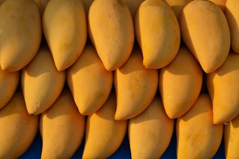 Mangoes and Memories Vol. 2 (Buzzfeed Podcast Interview)