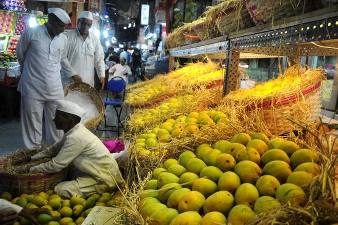 Mango Mania: How the American Mango Lost Its Flavor - And How It Might Just Get It Back (Gastropod Podcast Interview)