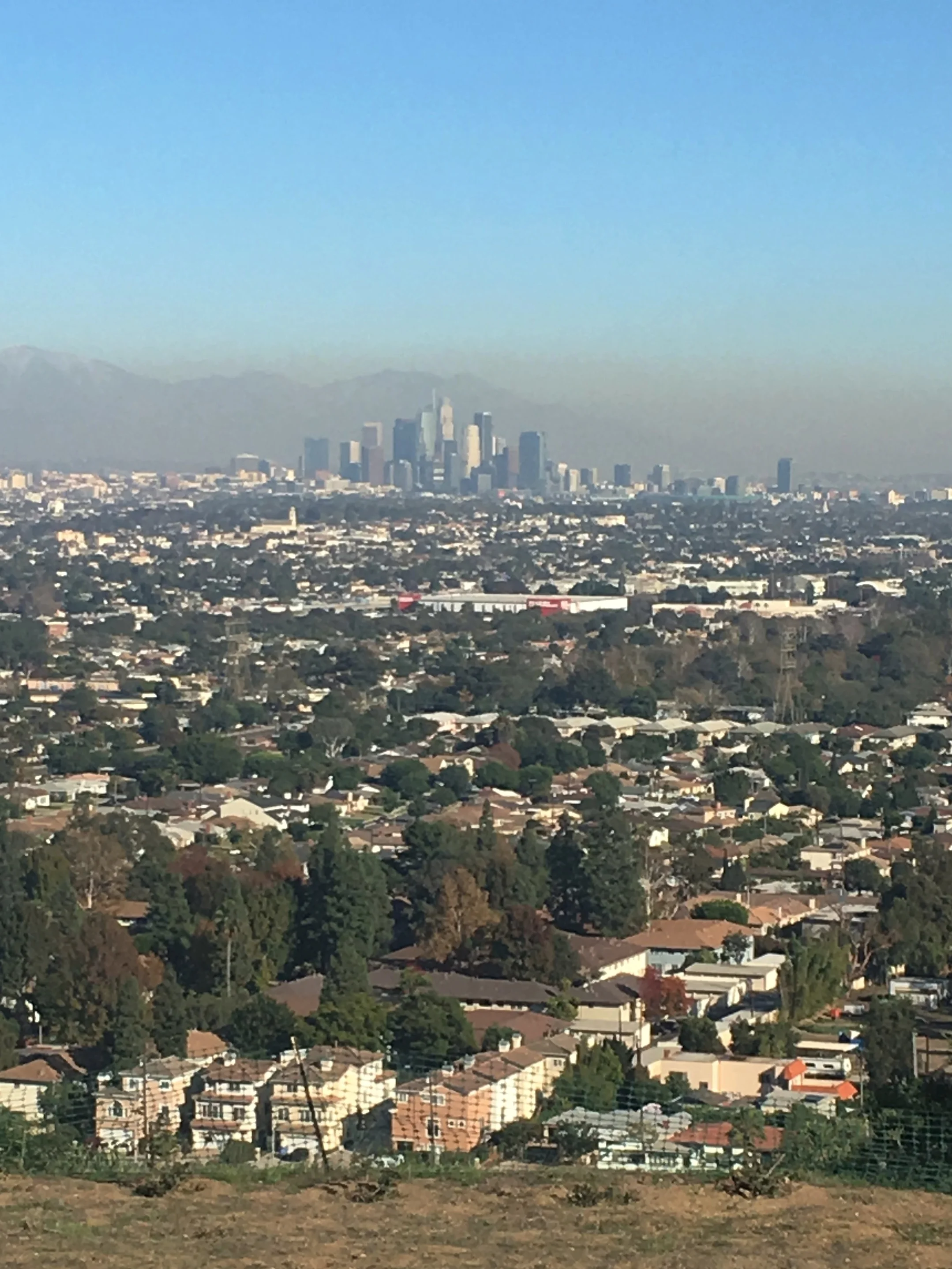 Shara Kay Los Angeles Professional Organizer contact