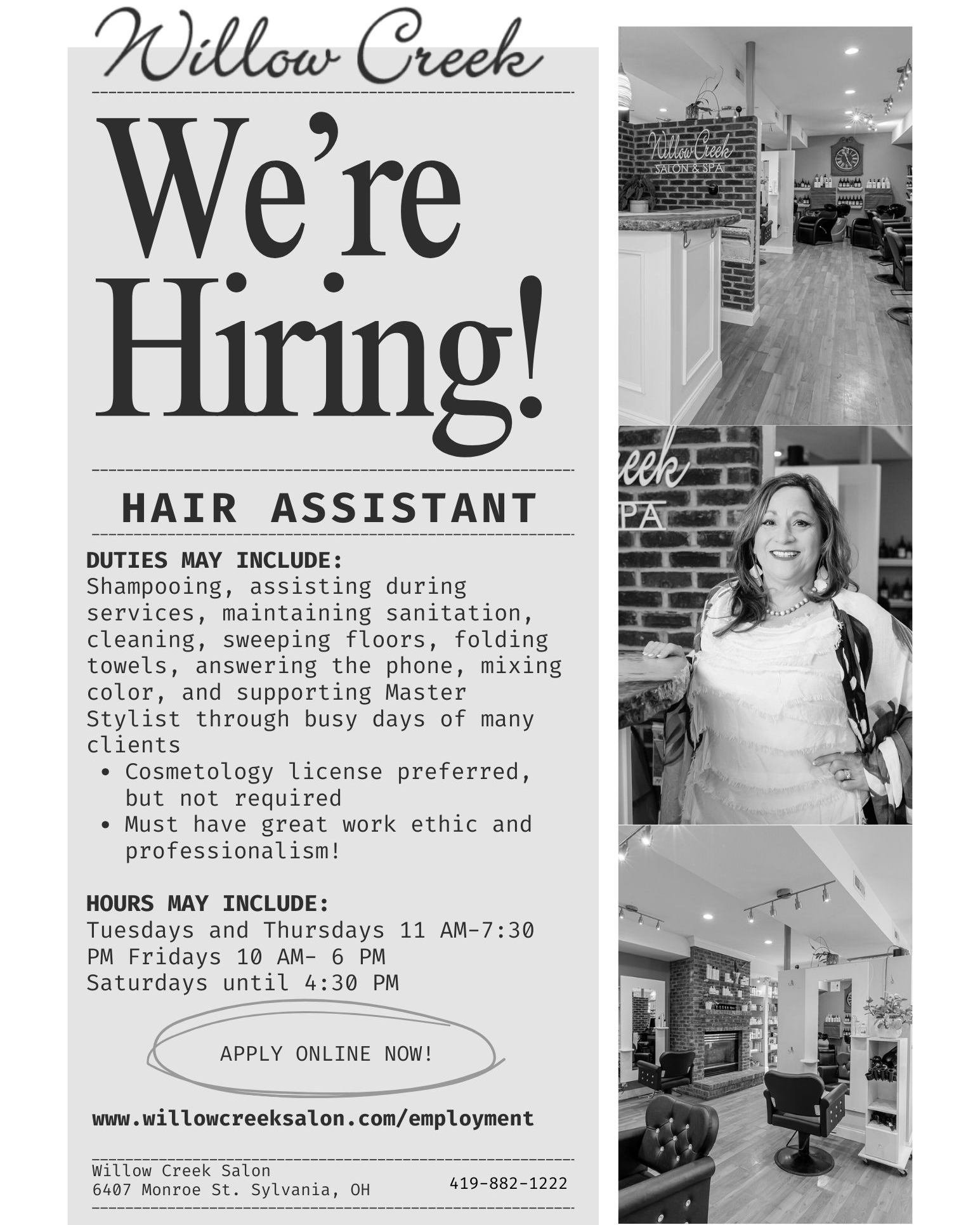 We are accepting applications for a hair assistant to work closely with our amazingly talented owner, Mary Anne!
Spread the word and apply online!
https://www.willowcreeksalon.com/employment
 #smallbusiness #hairstylist #Sylvaniasalon #Willowcreek #t