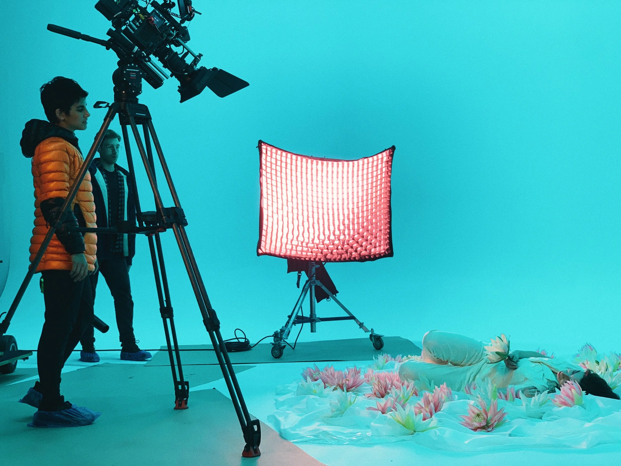 BTS w/ Nutrilite (Copy)