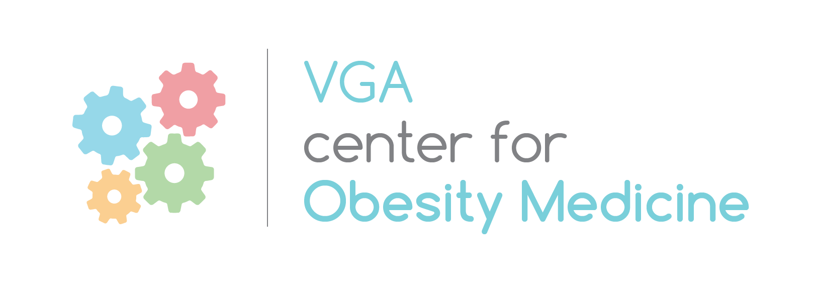 VGA Logo.png