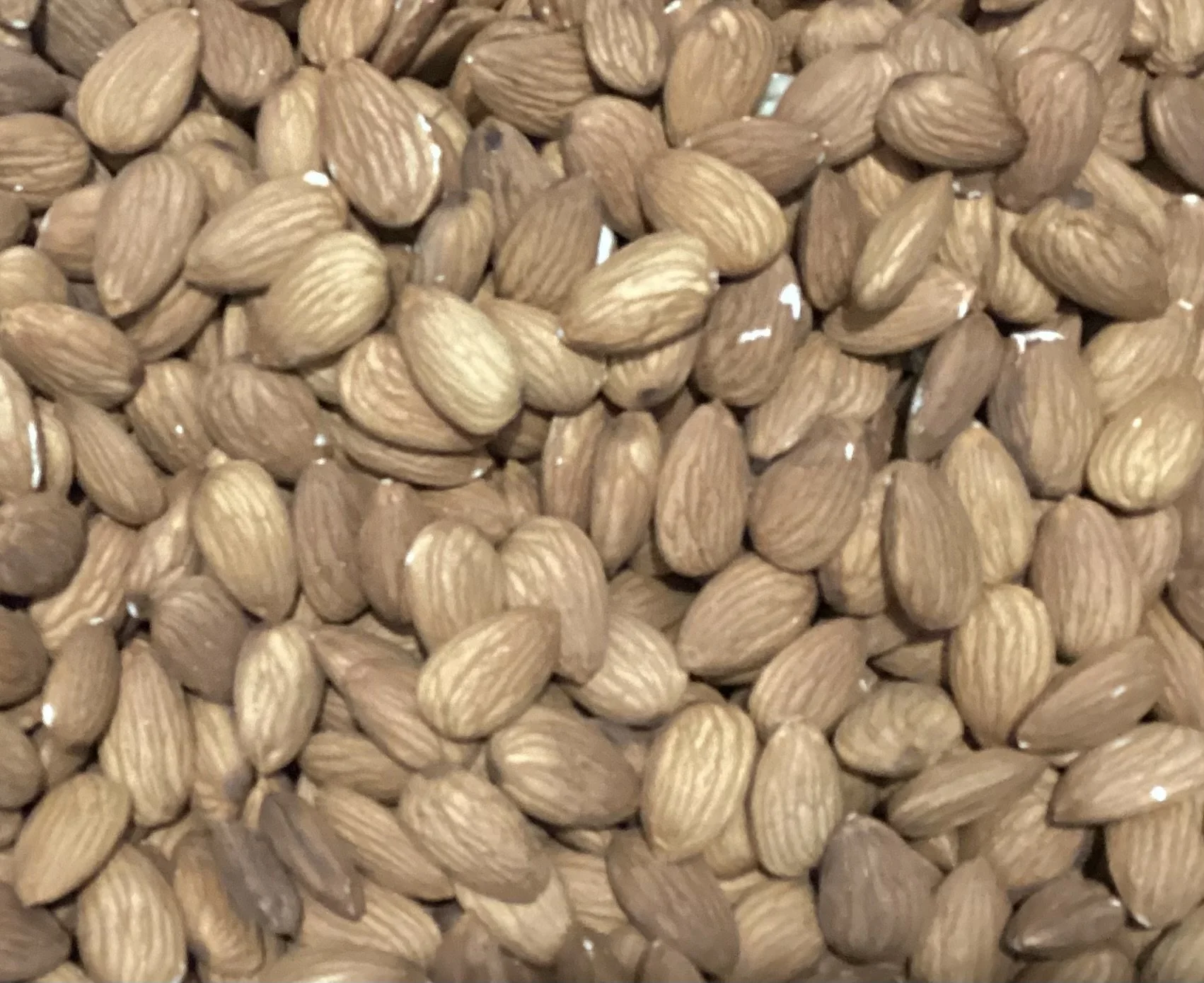Raw almond kernel