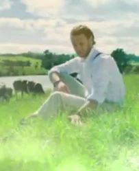 Theland, B2B Films, China