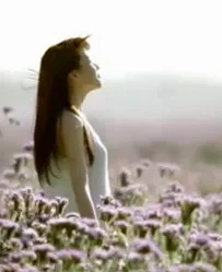 Yili Milk, Cheers Films, China