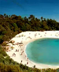 Carlsberg, MJZ UK, Ireland