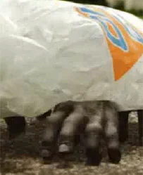 Yellow Pages, Exit Films, Australia