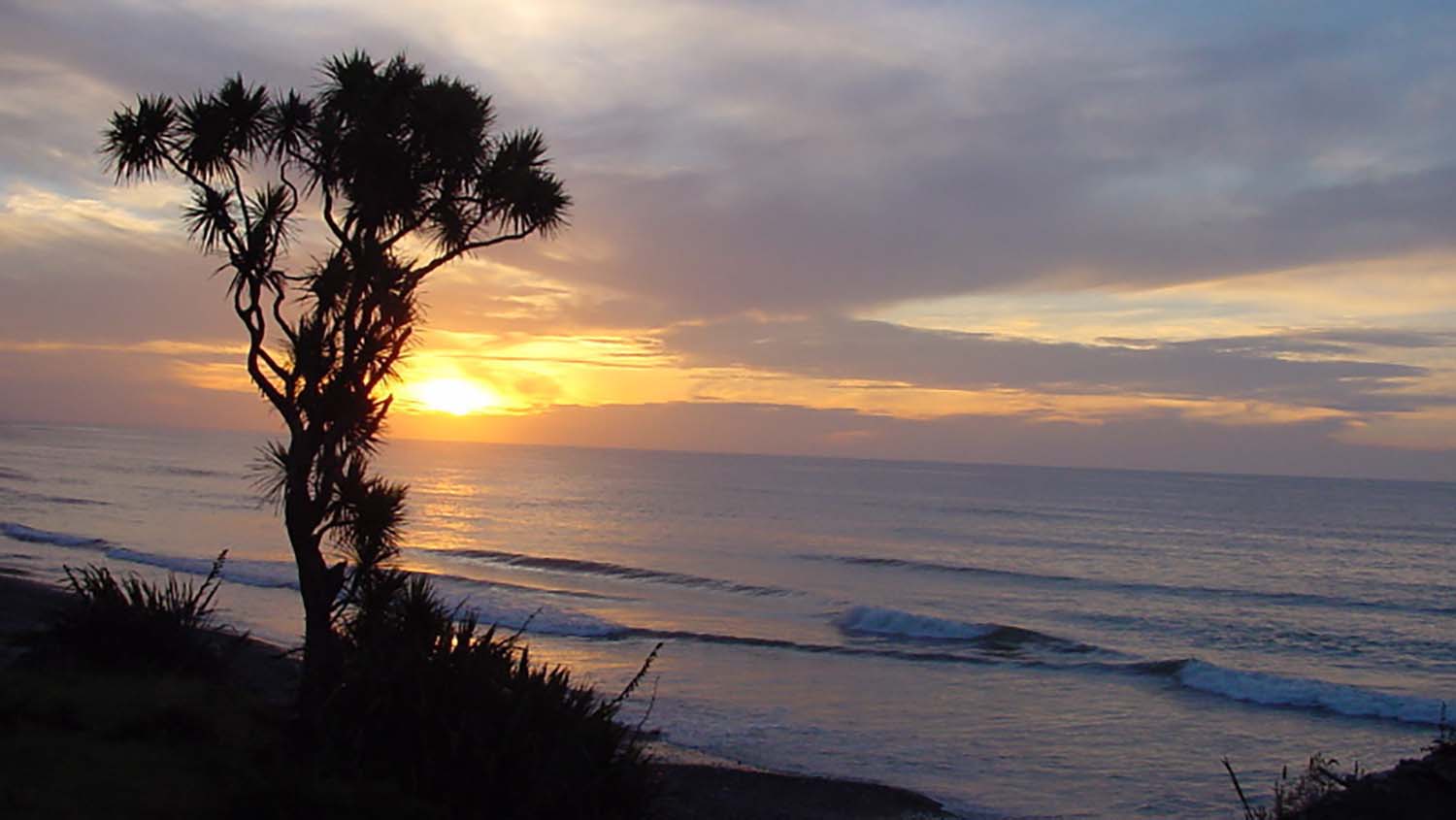 Photo Library - 0087.jpg