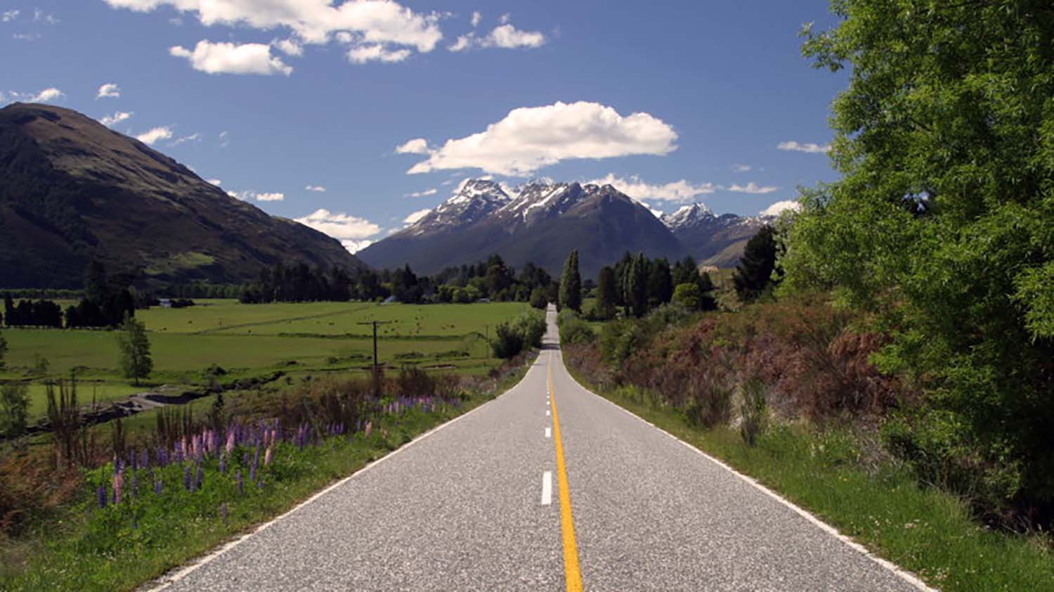 paradise rd#04-n.jpg