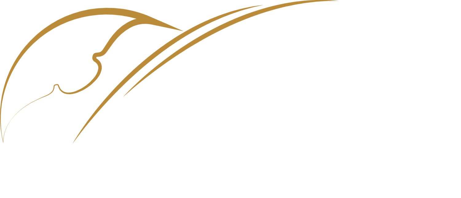 American String Quartet