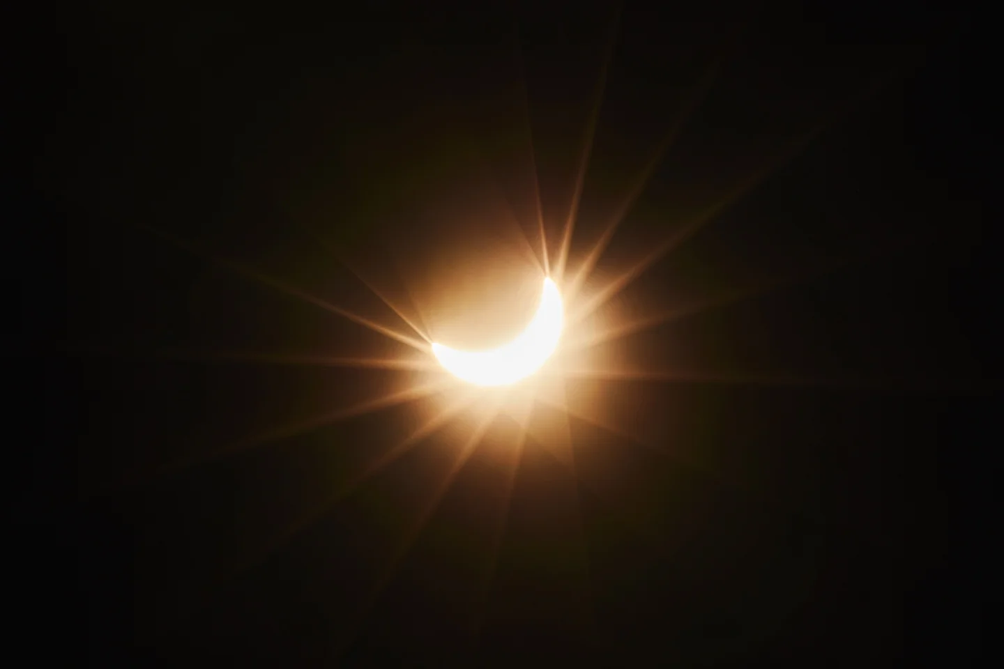 345345345345345.jpg
