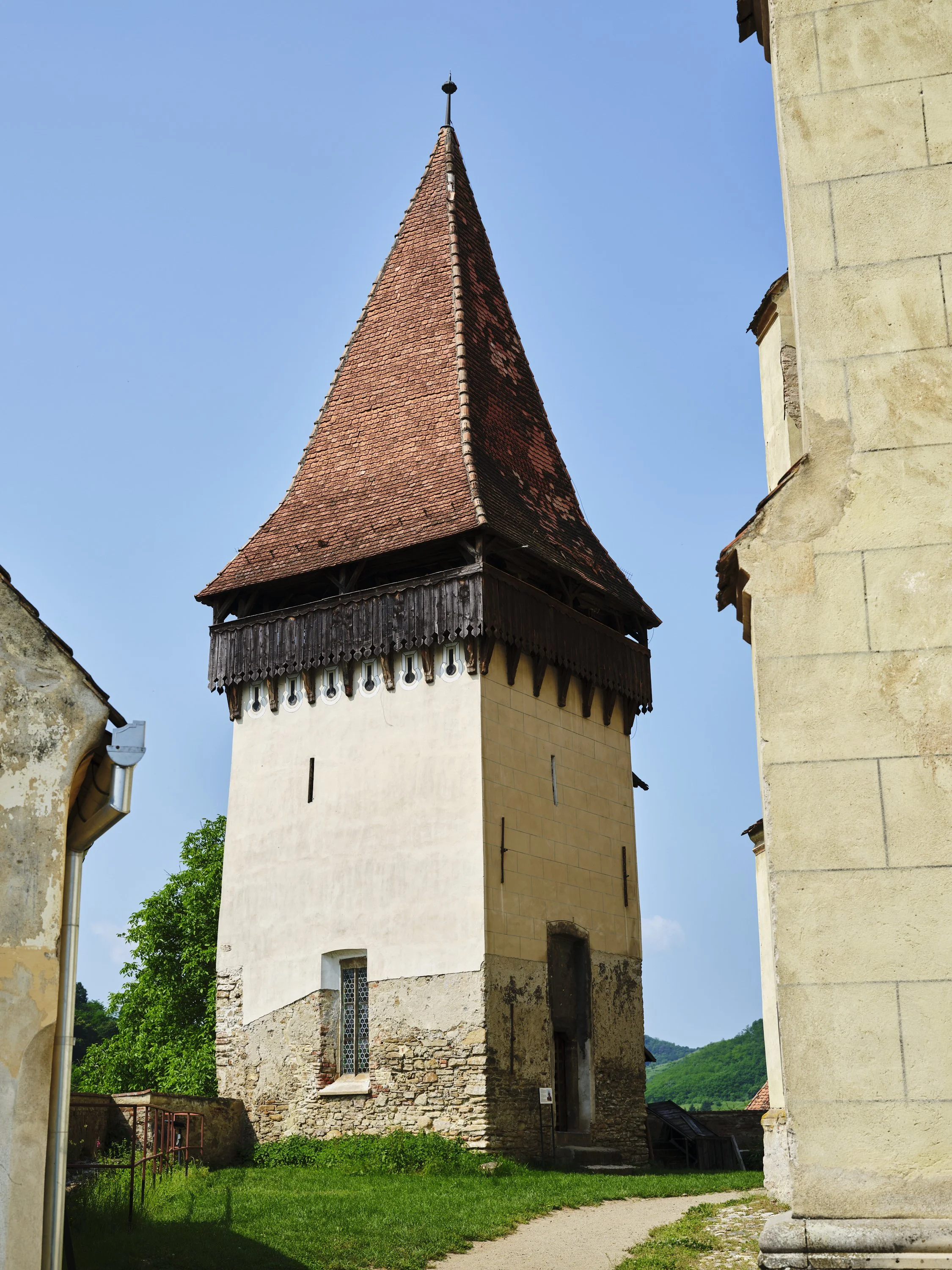 _DSF5895.jpg