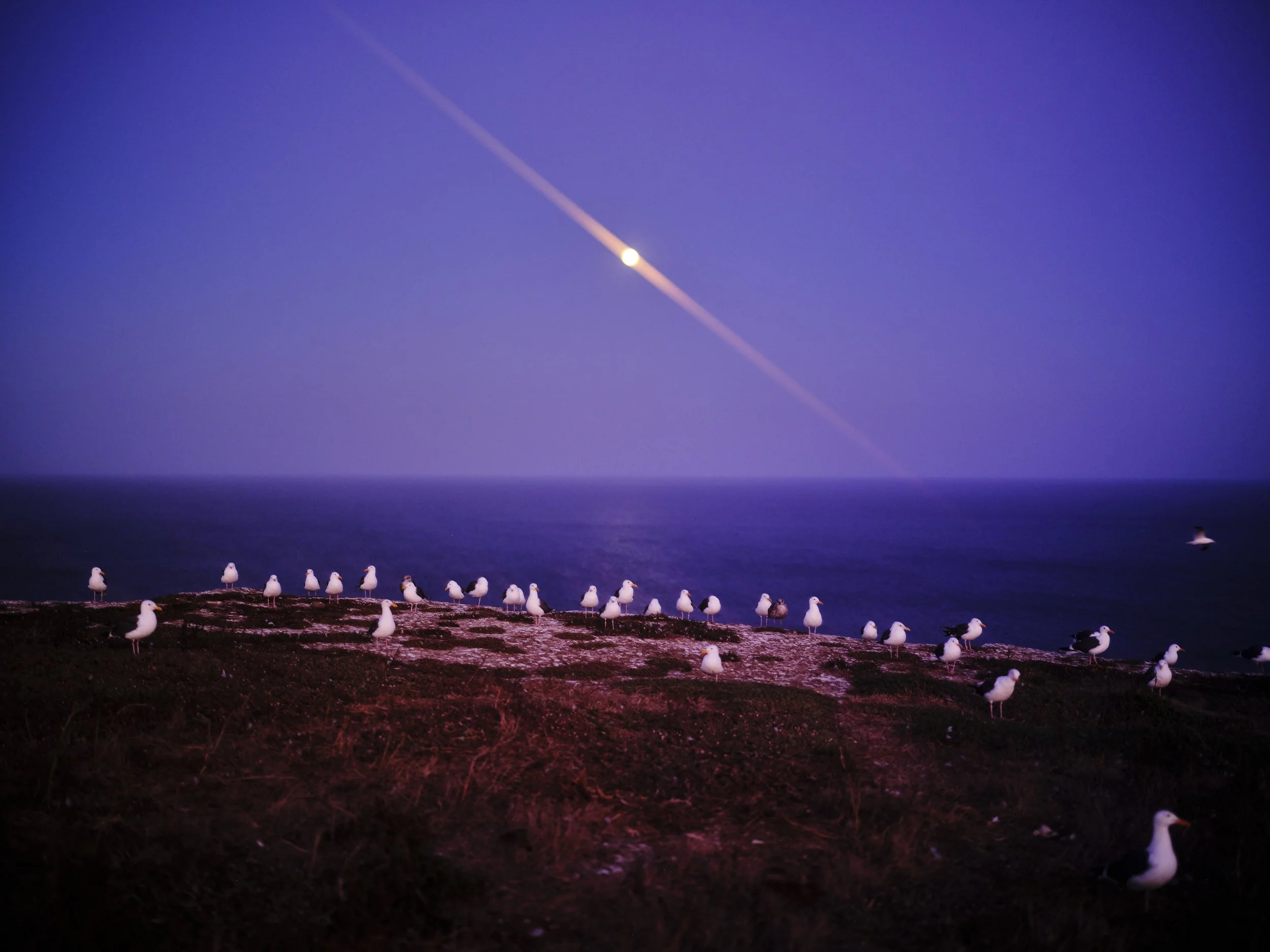 _DSF9256.jpg