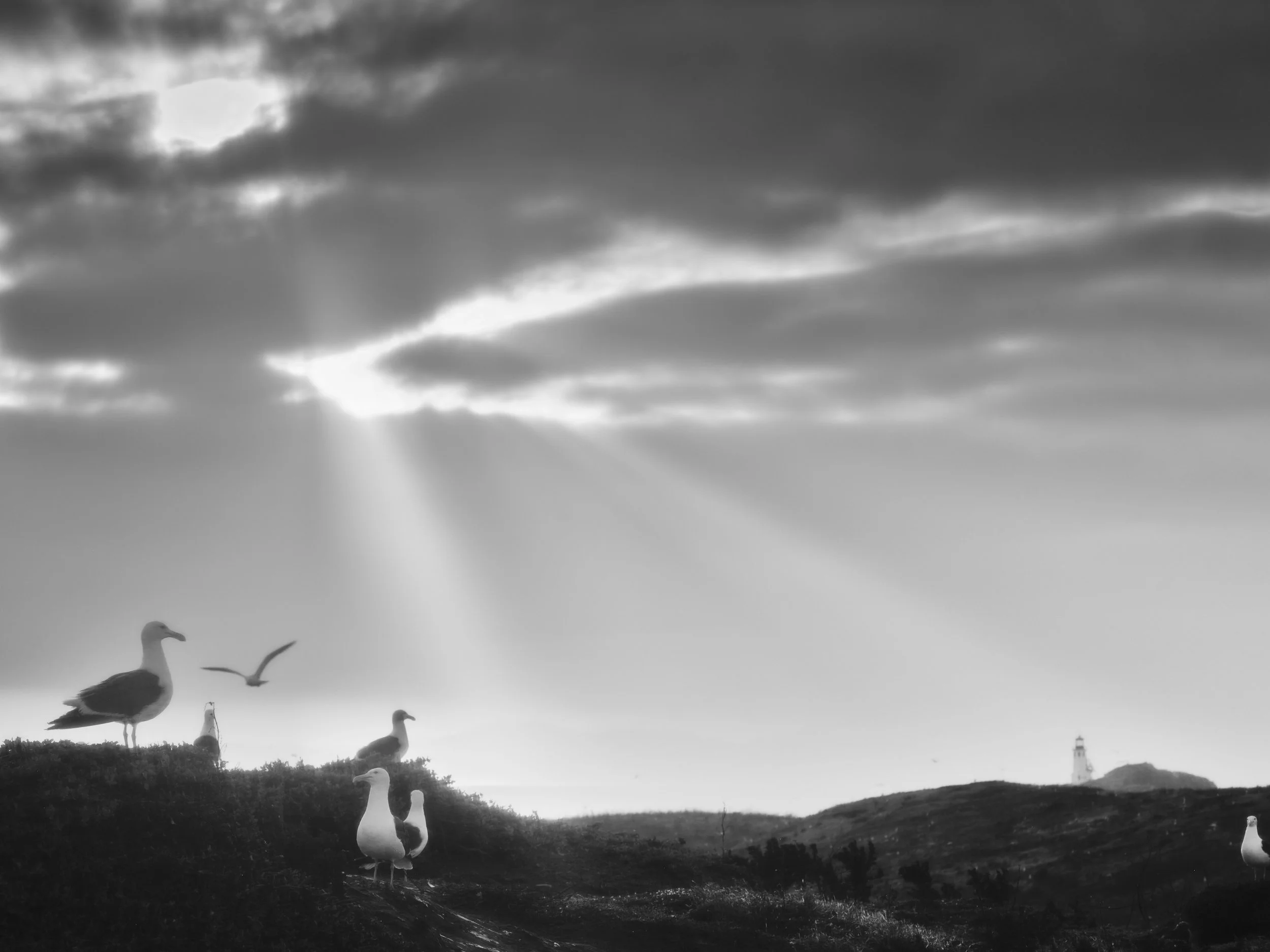 _DSF9412.jpg