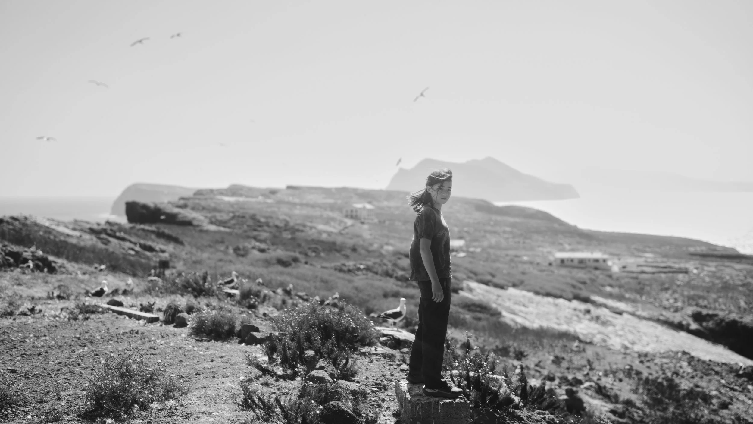 _DSF8965.jpg