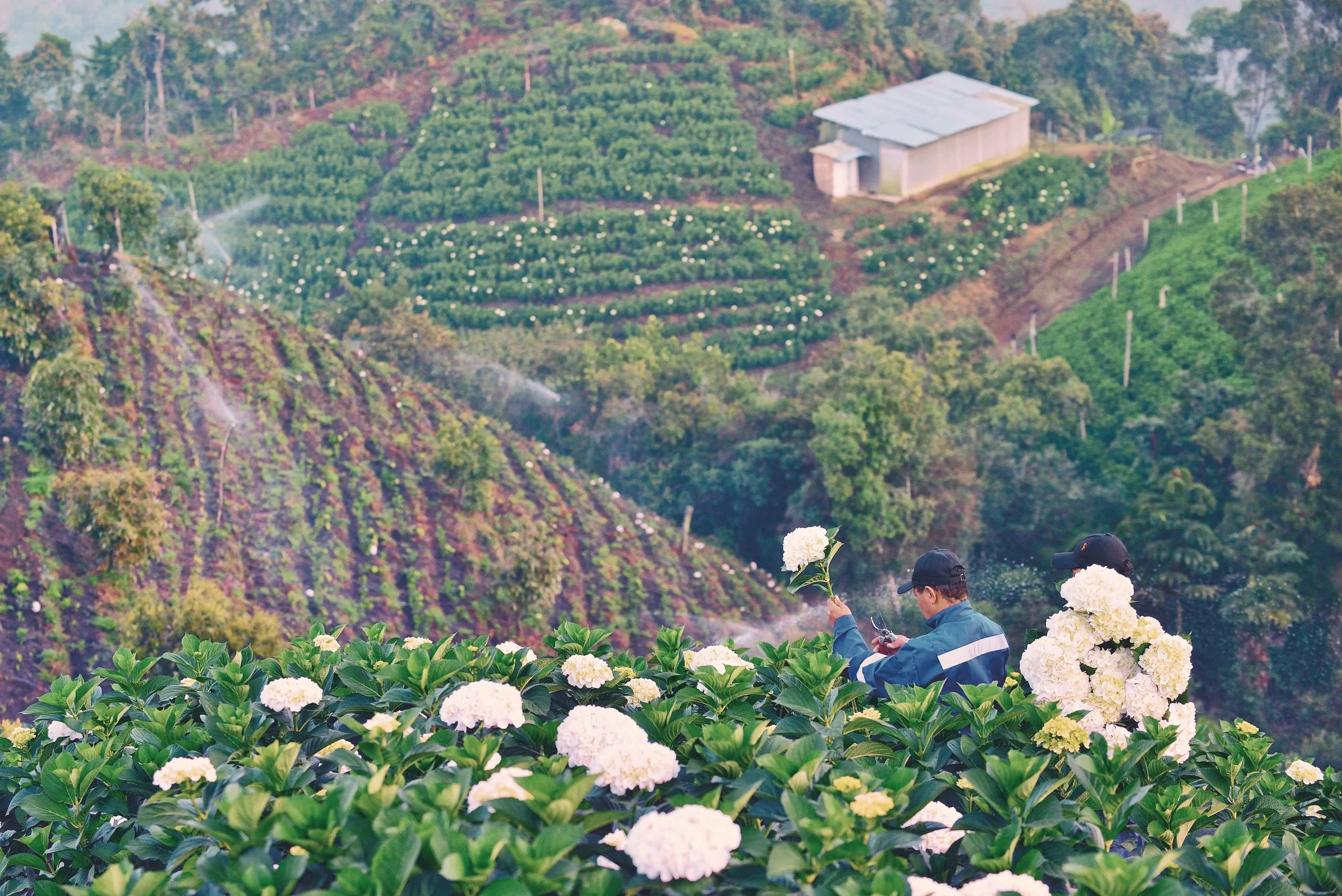 Background VideoFallback-MAO_8165 Web.jpg