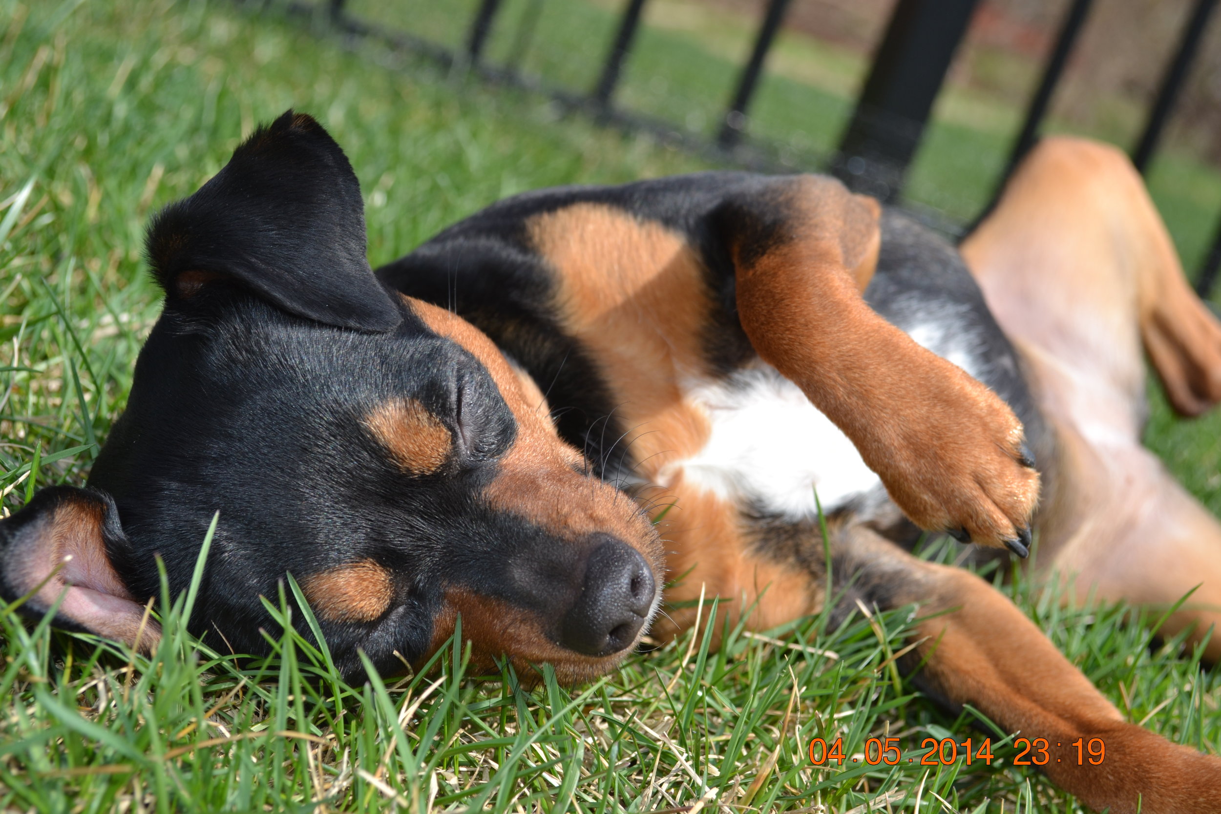 dsc_0413.jpg