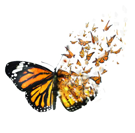 butterflies-breaking-out-cleaner-copy-2.jpg