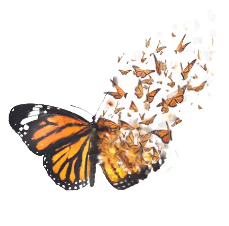 butterflies breaking out cleaner copy (2)