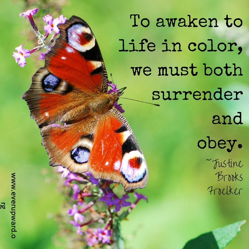 to-awaken-tolife-in-color-we-must-bothsurrenderandobey.jpg