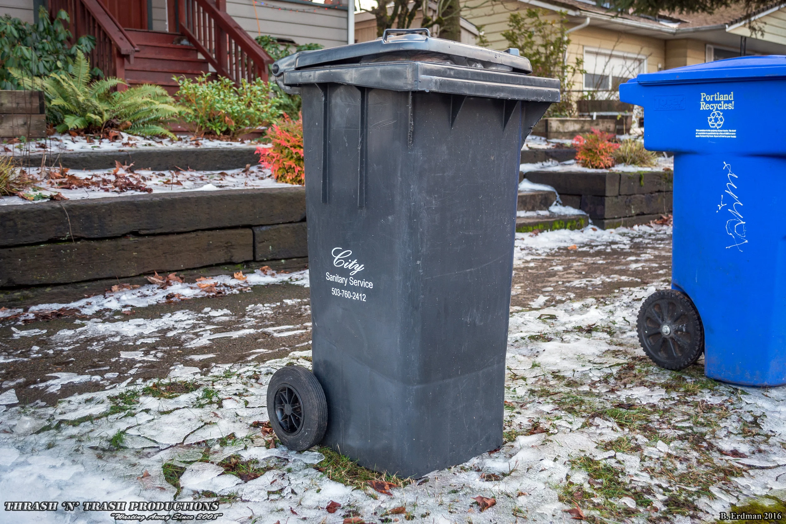 Carts — Thrash 'N' Trash Productions