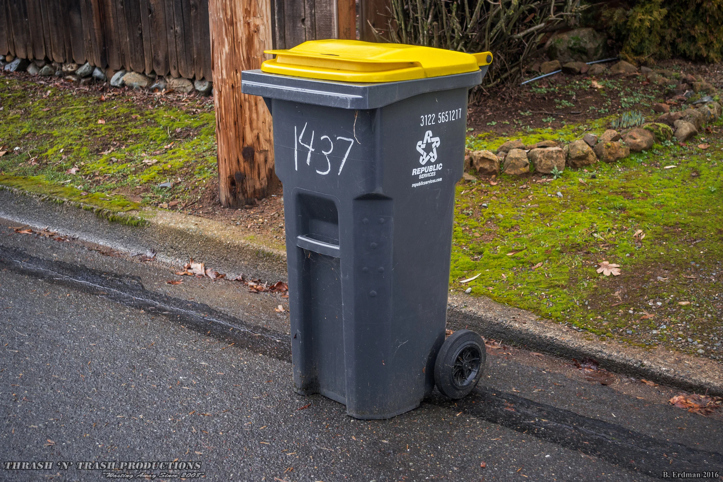 Carts — Thrash 'N' Trash Productions
