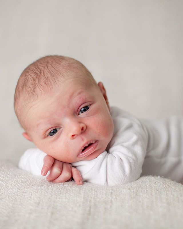 9 days ➡️ 3 weeks old 💙 This little man is my favourite sidekick! As much as I love doing hair, being a mum is an amazing adventure! 📷: @meganphotog •
•
•
•
#hairfashionandbridal #babyboy #newborn #newbornphotography