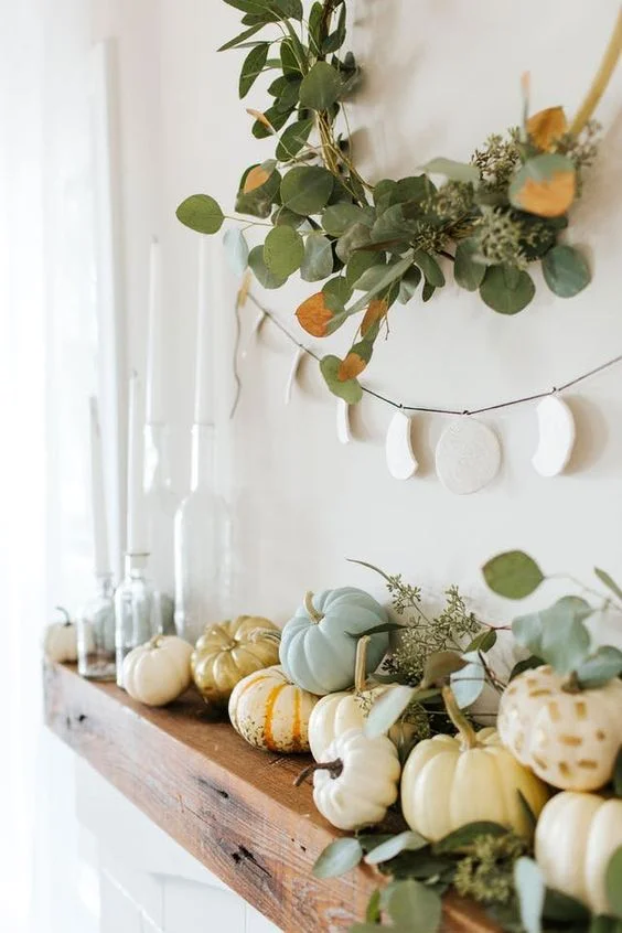 Calabazas pintadas combinadas con plantas