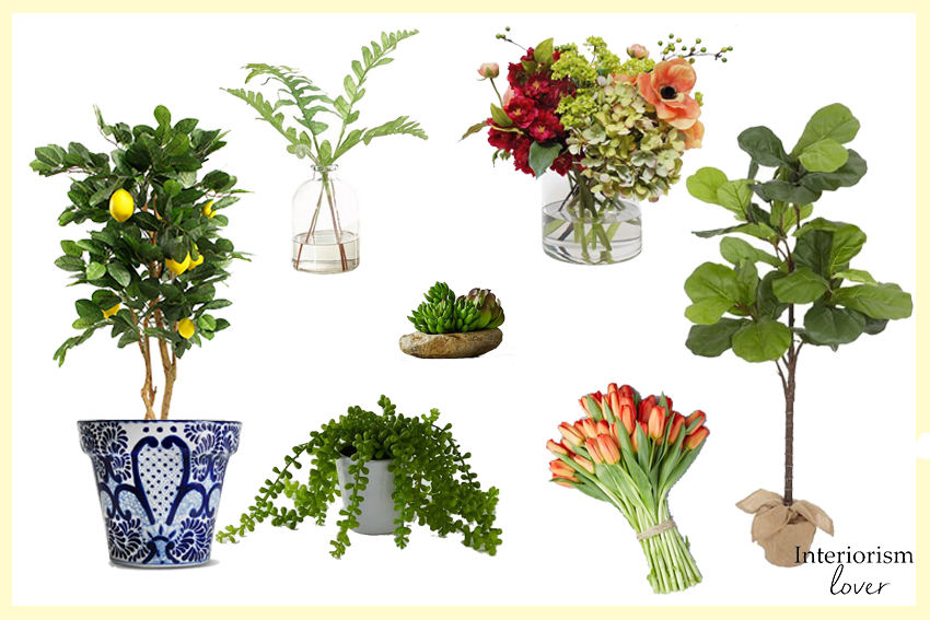 Opciones de plantas y flores | Plants and flowers ideas