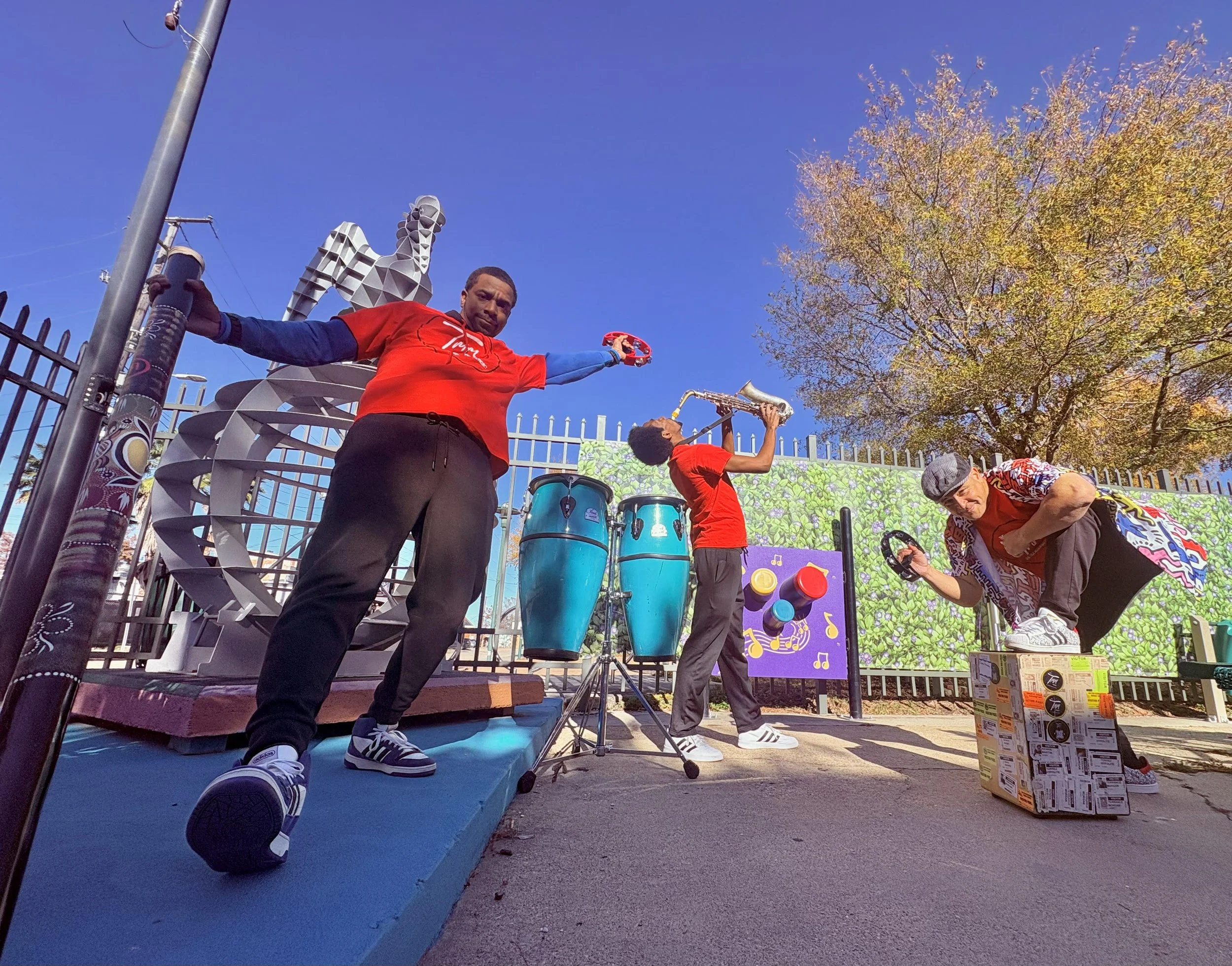 TMM Project Seeds. Fossils, & Positive Beats