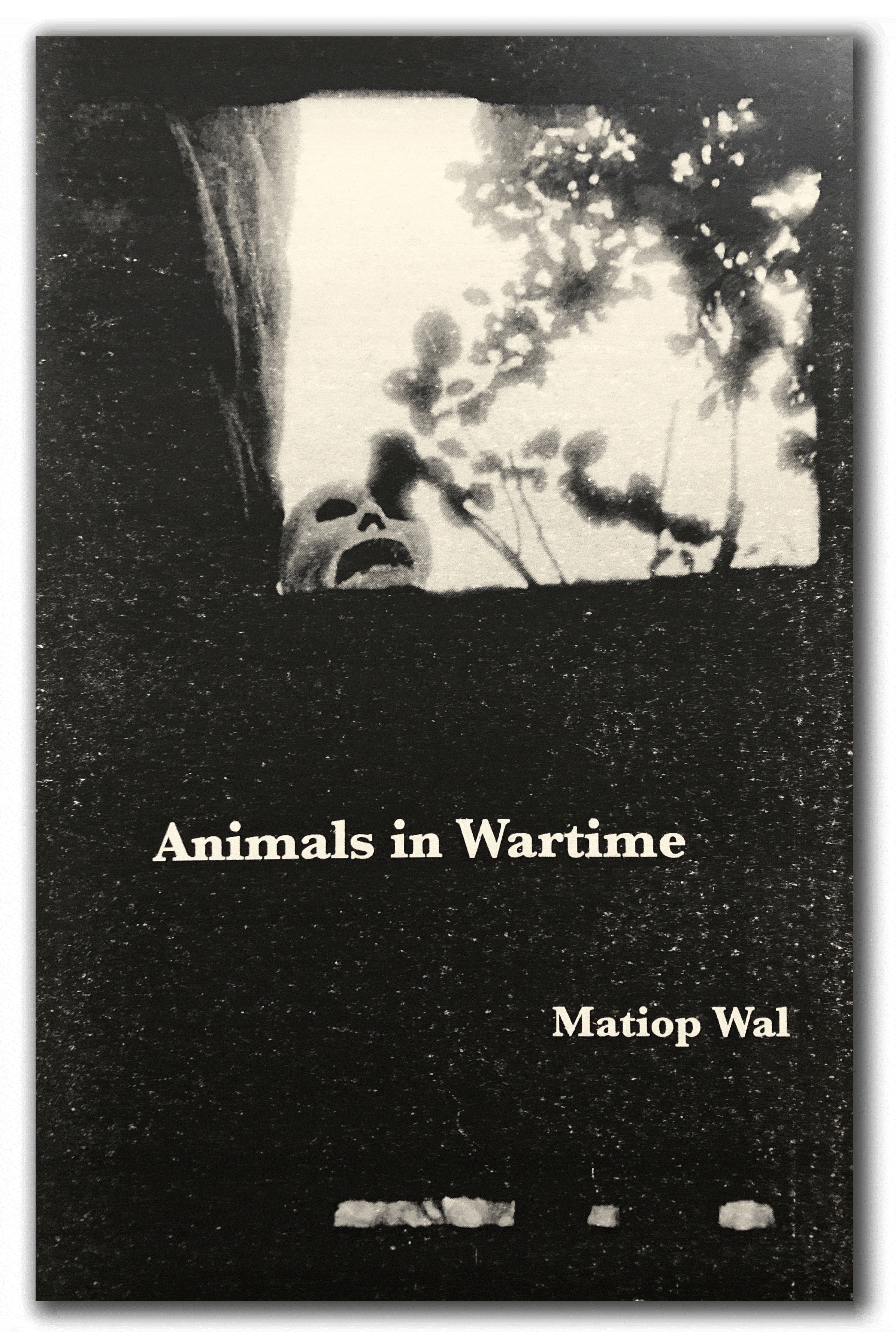 Animals in Wartime1.gif