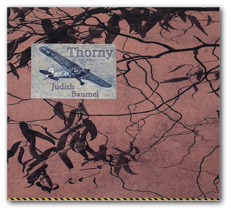 Thorny - Shadow.jpg