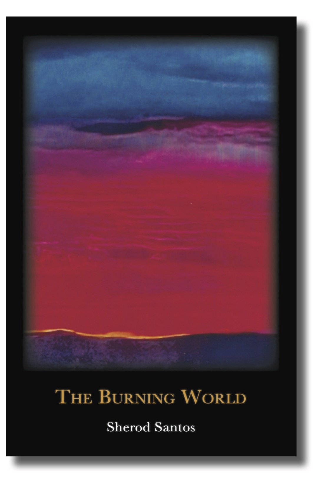 The Burning World - Shadow Cover.jpg