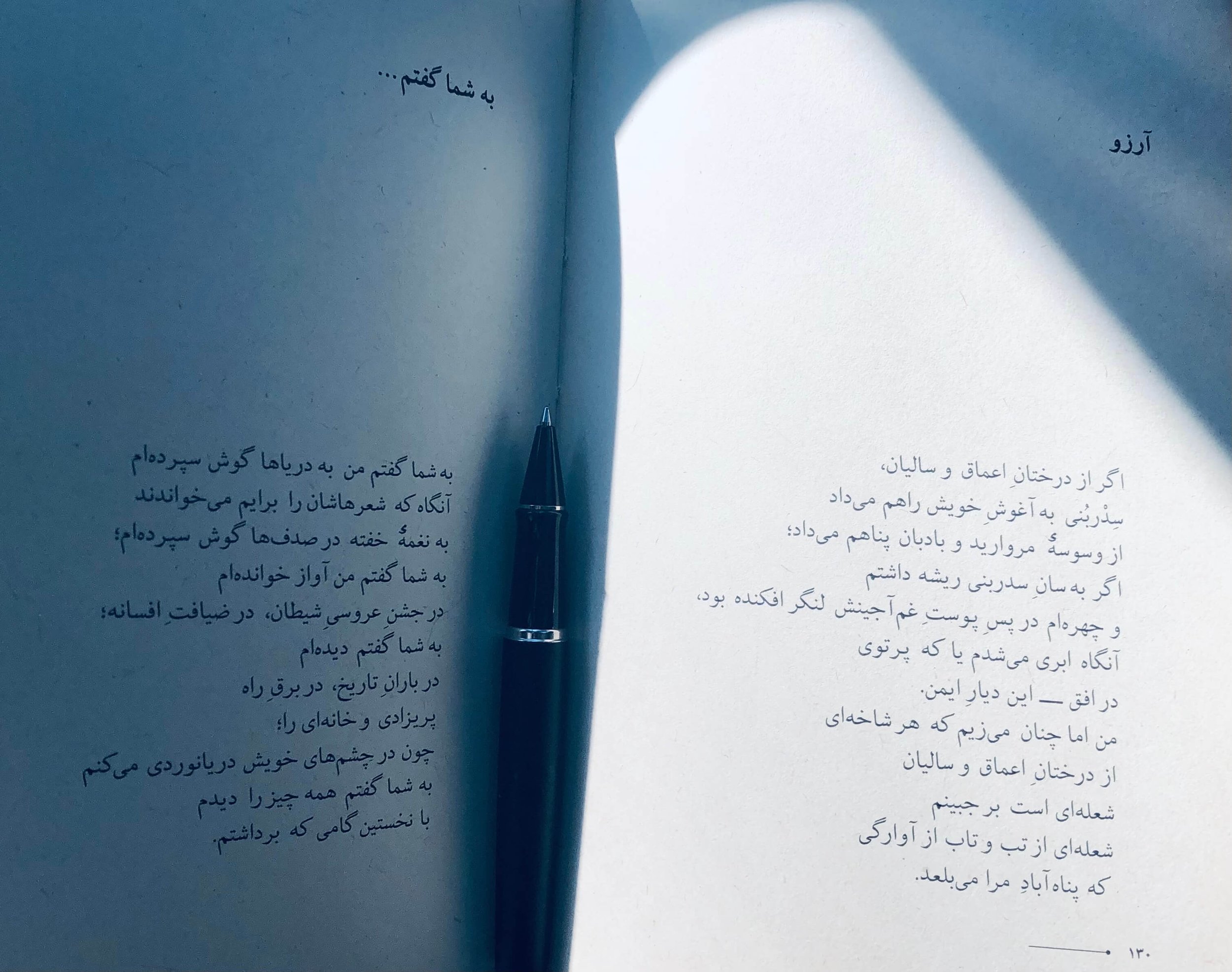 Why I Became an Iranian Writer