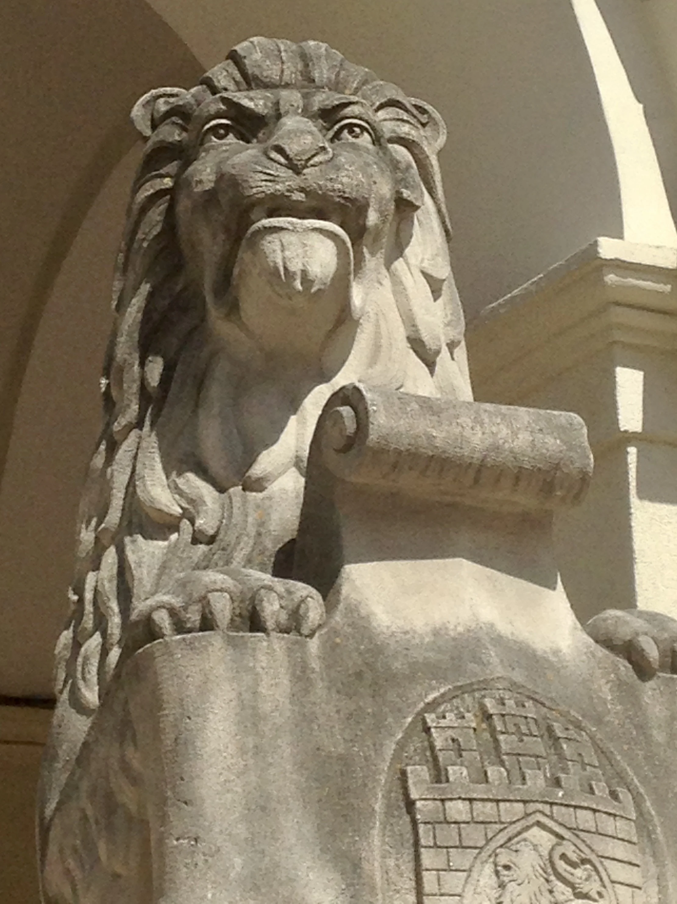 In the City of Lions